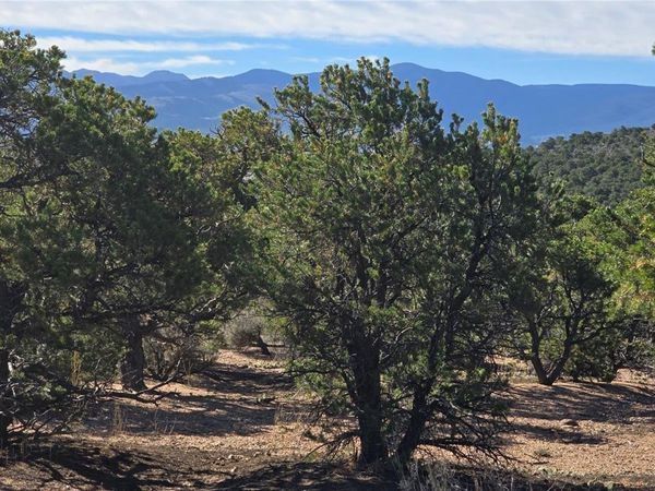 Lot 3873 Shinn Road , Fort Garland, CO 81133