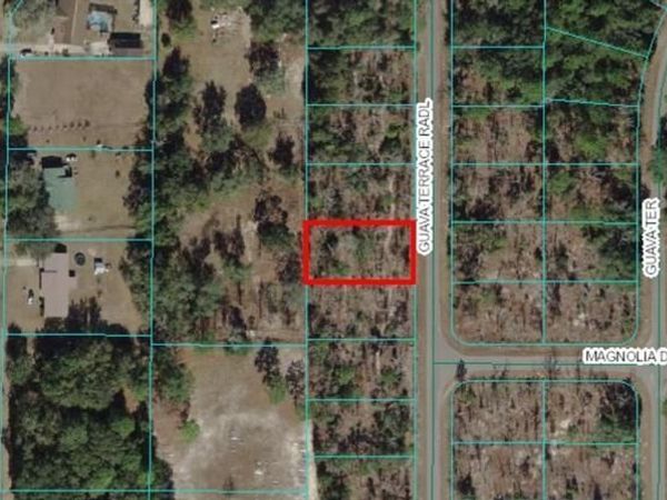0 GUAVA TERRACE RADIAL , OCKLAWAHA, FL 32179