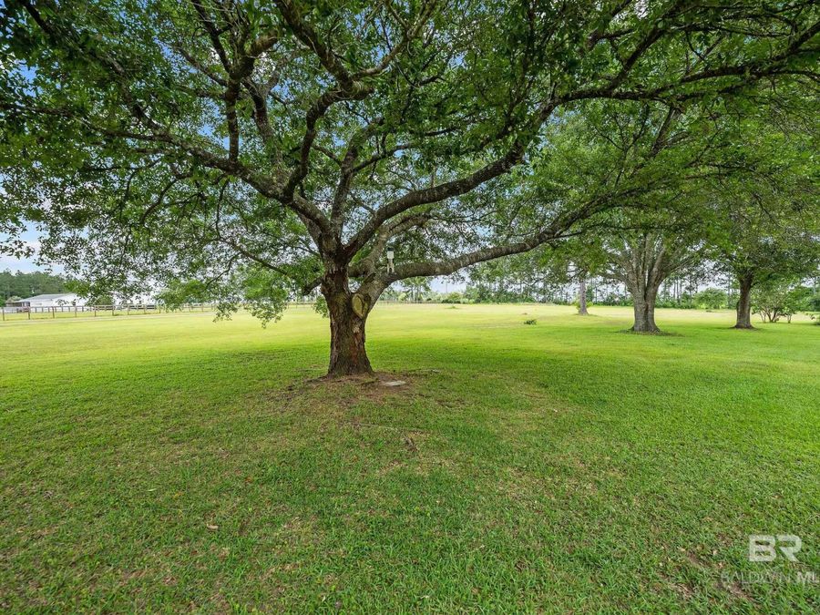 Property Image 76