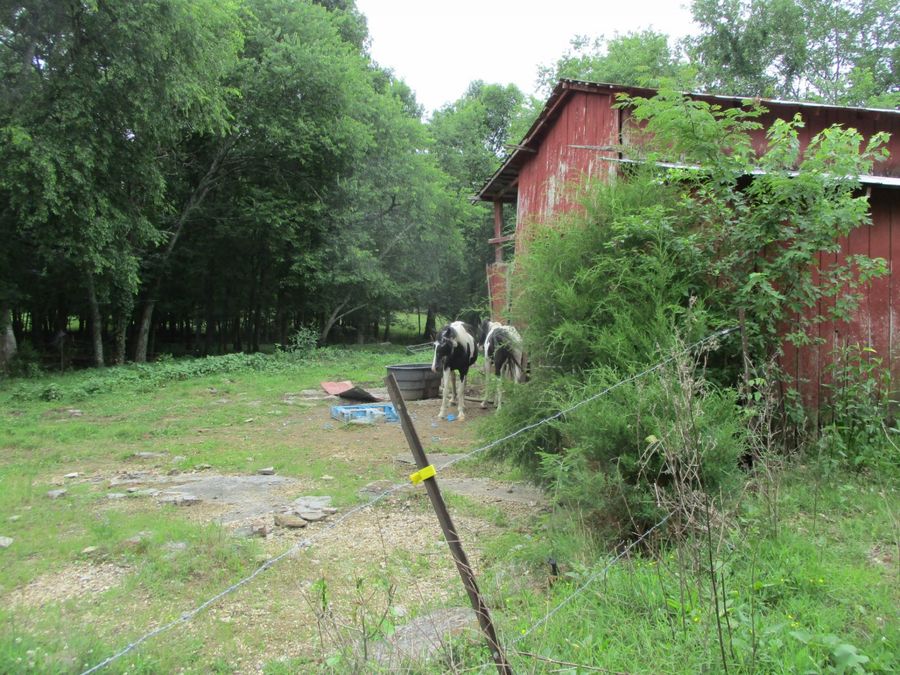 Property Image 26