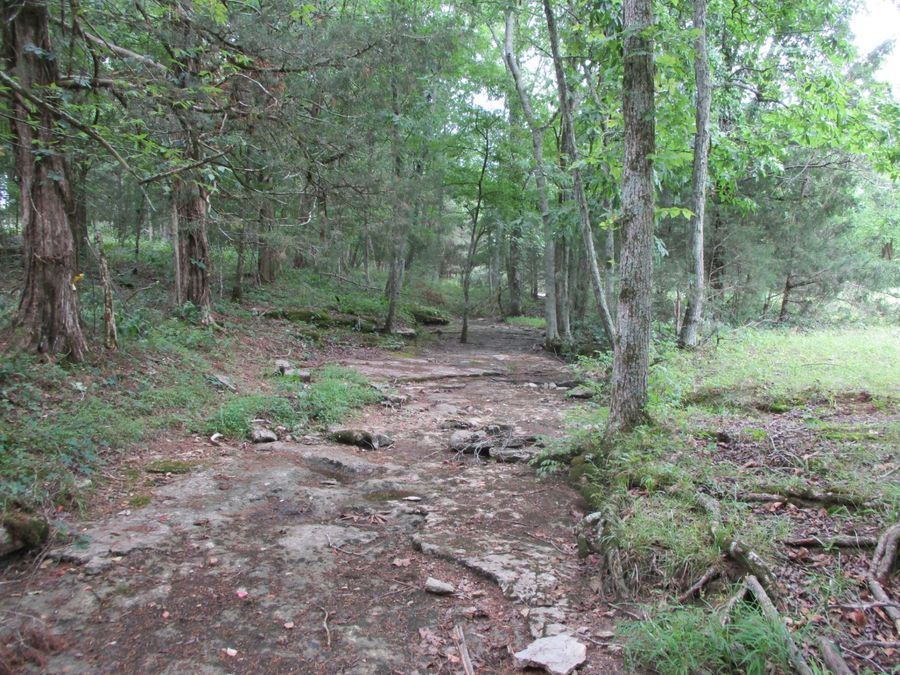 Property Image 31