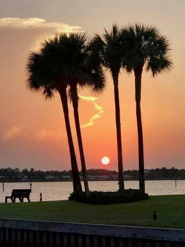 1950 SW Palm City Road , Unit 14-305, Stuart, FL 34994 Photo