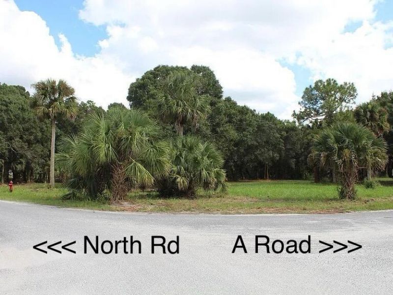 15884 North Road , Loxahatchee, FL 33470 Photo