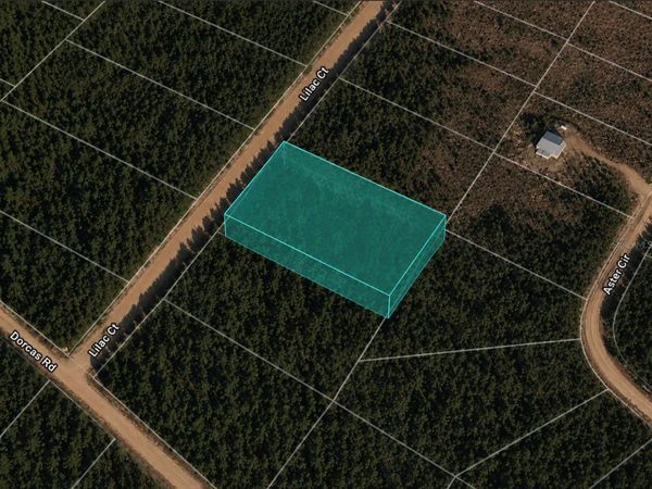LILAC COURT , MARIANNA, FL 32448