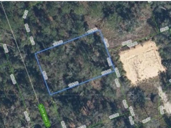 9408 ELDER BERRY COURT , SEBRING, FL 33875