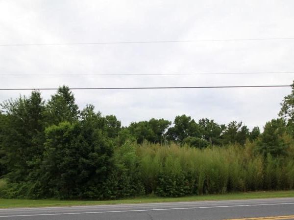 5120 HALLTOWN ROAD, HARTLY, DE 19953