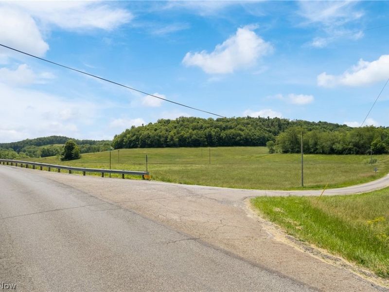 Fargo Road SW, Dellroy, OH 44620 Photo 16