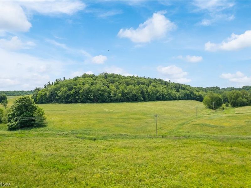 Fargo Road SW, Dellroy, OH 44620 Photo 17