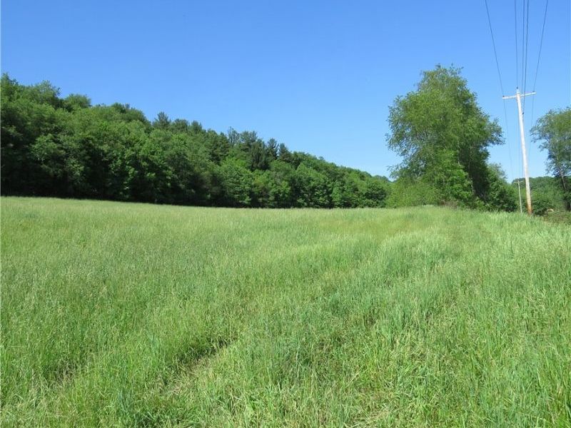 Fargo Road SW, Dellroy, OH 44620 Photo 3