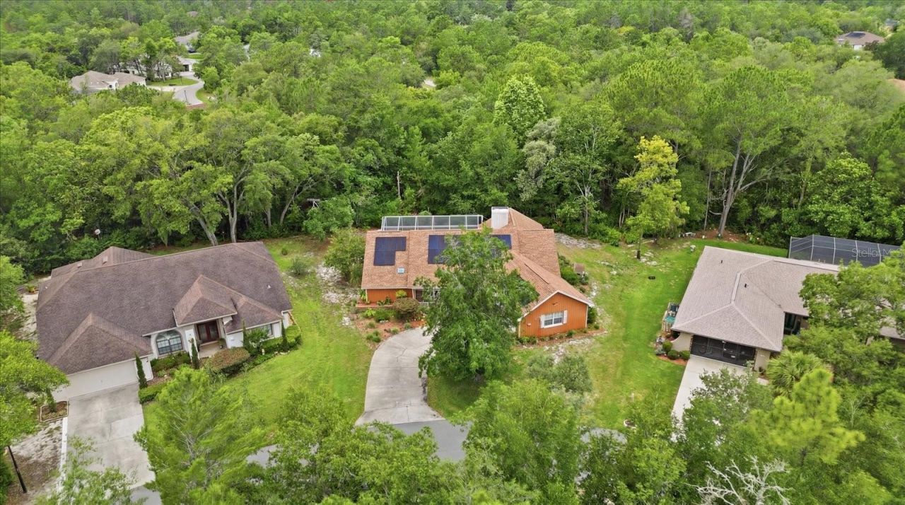 45 Hollyhock Court , Homosassa, FL 34446 Photo