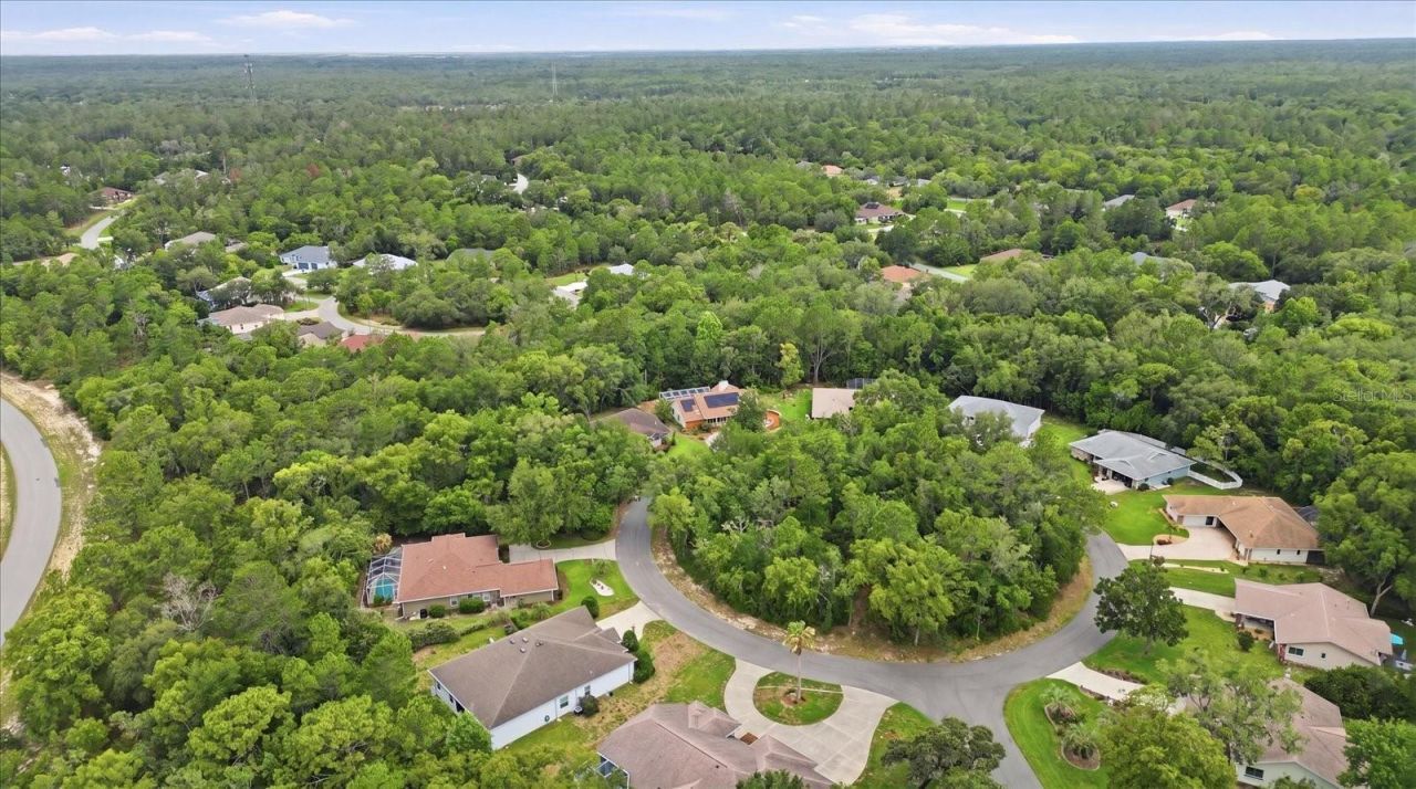 45 Hollyhock Court , Homosassa, FL 34446 Photo