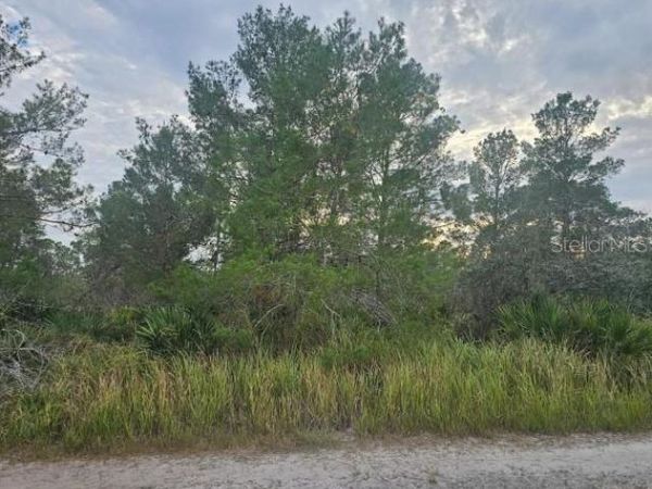 2217 ALGONQUIN DRIVE , SEBRING, FL 33875