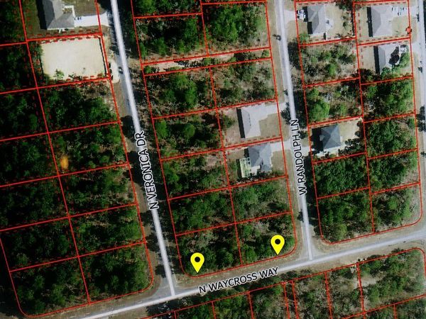 3171 W RANDOLPH LANE, CITRUS SPRINGS, FL 34433