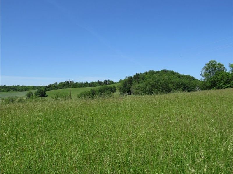 Fargo Road SW, Dellroy, OH 44620 Photo 11