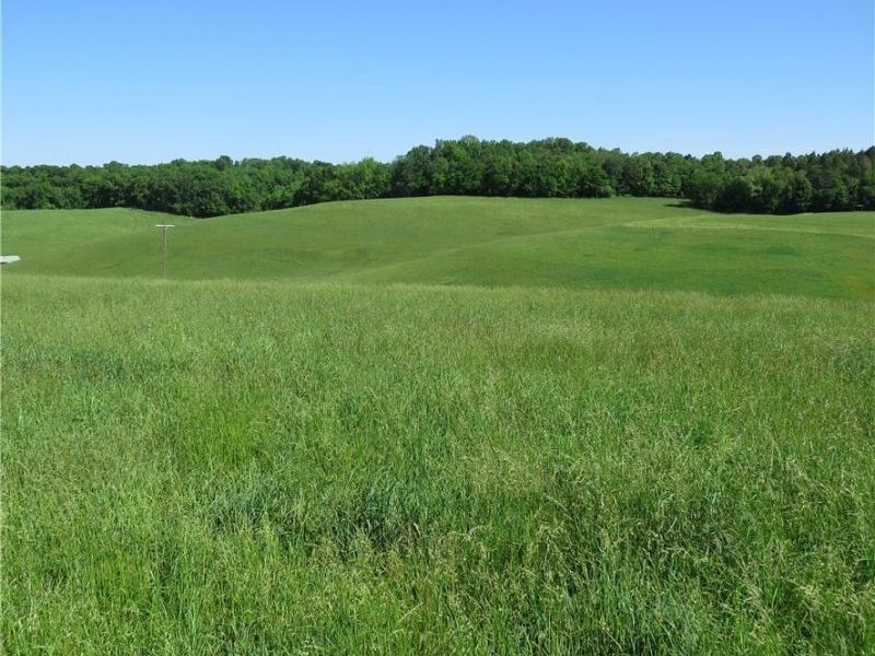 Fargo Road SW, Dellroy, OH 44620 Photo 5