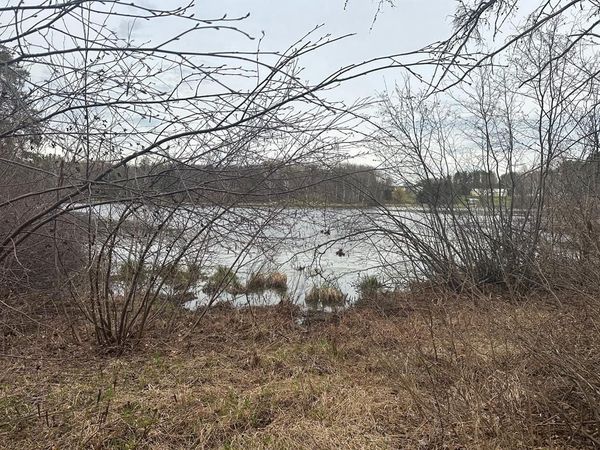 7516 Wood Drive, Trego, WI 54888