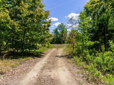 5400 Snow Den Trail , Marathon Twp, MI 48421