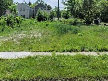 491 W Lantz Street , Detroit, MI 48203