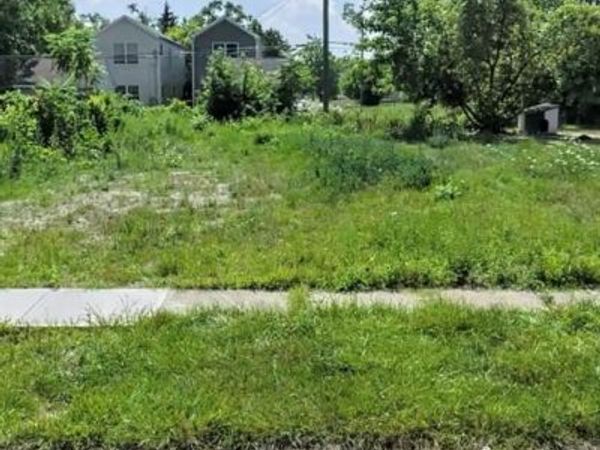 497 W Lantz Street , Detroit, MI 48203