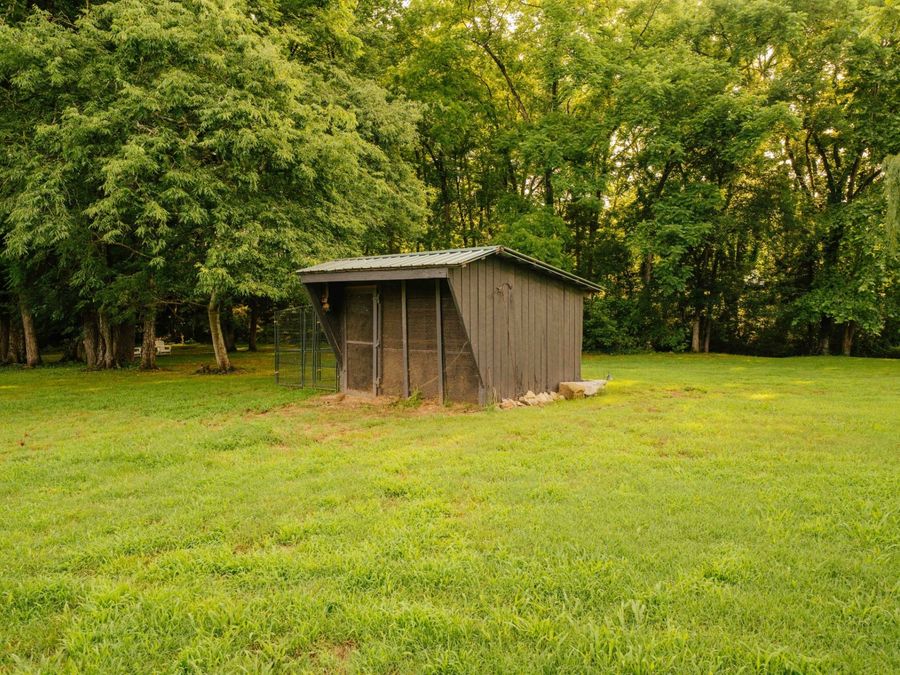 Property Image 59