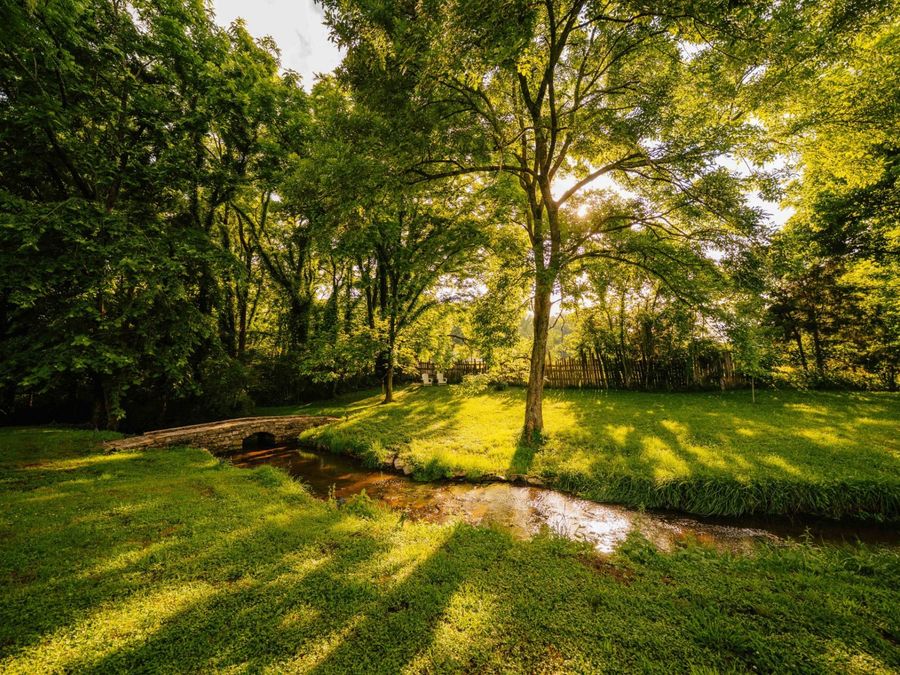 Property Image 62