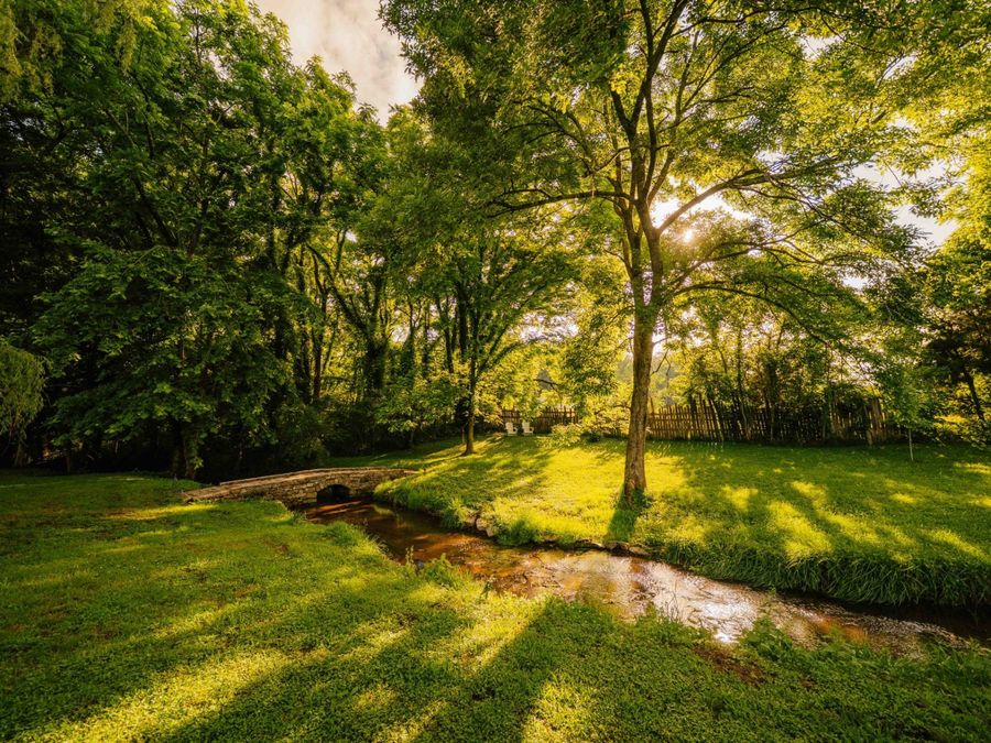 Property Image 64
