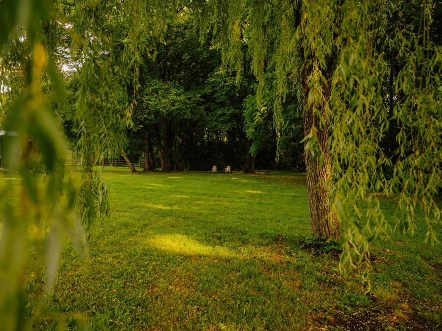 Property Image 65