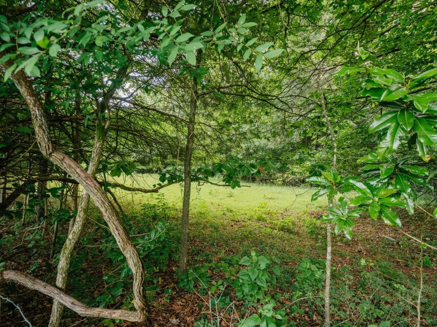 Property Image 78