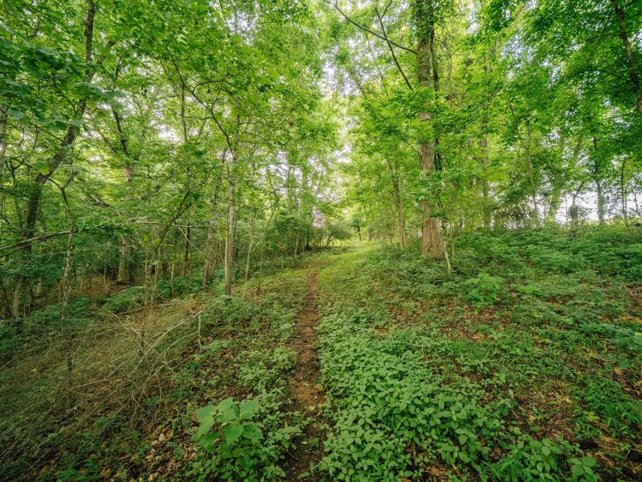Property Image 84