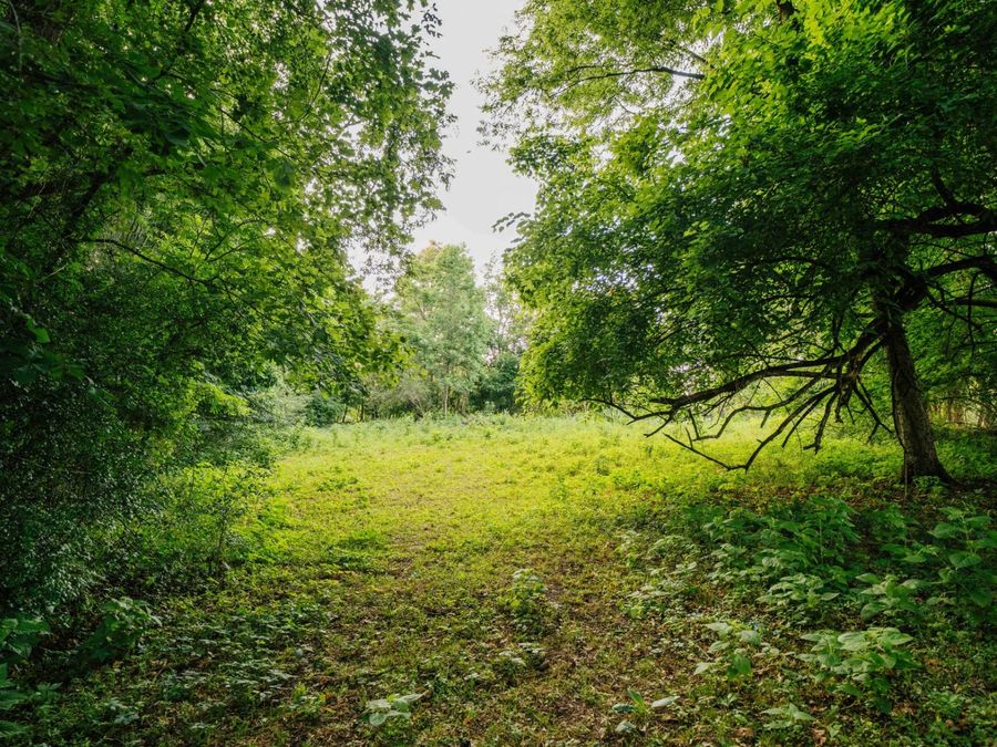 Property Image 85
