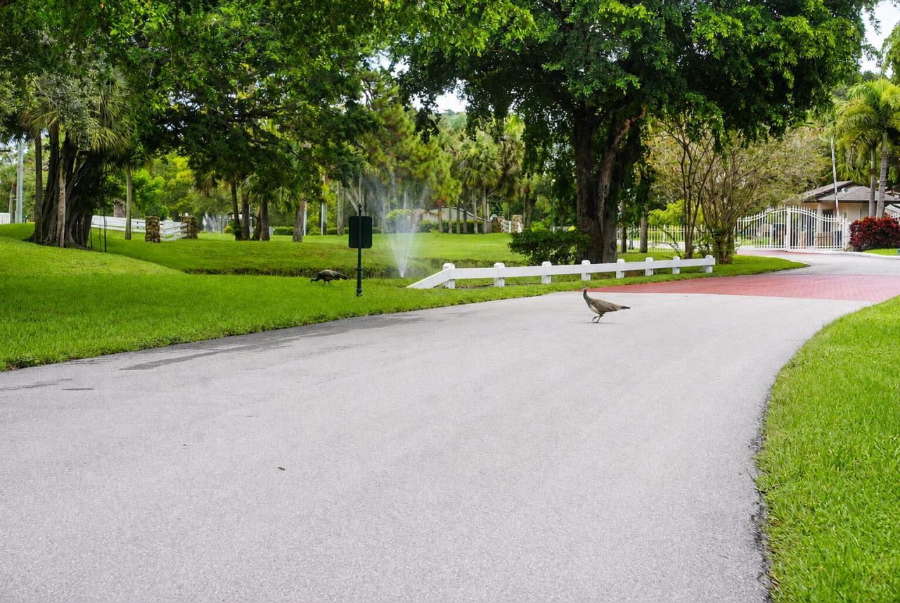 4259 NW Wood Ride Road, Unit E, Boynton Beach, FL 33436 Photo