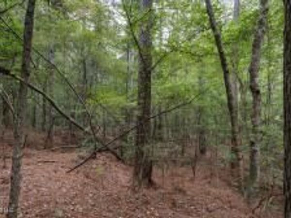 633 Lowhead Dam Road, Lena, MS 39094