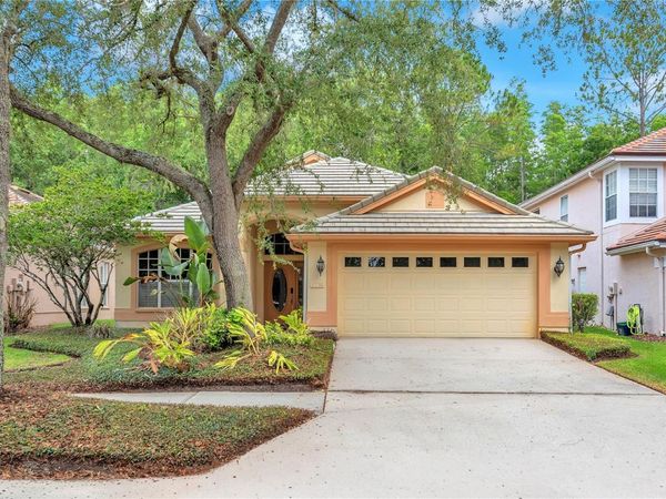 17738 NATHANS DRIVE , TAMPA, FL 33647