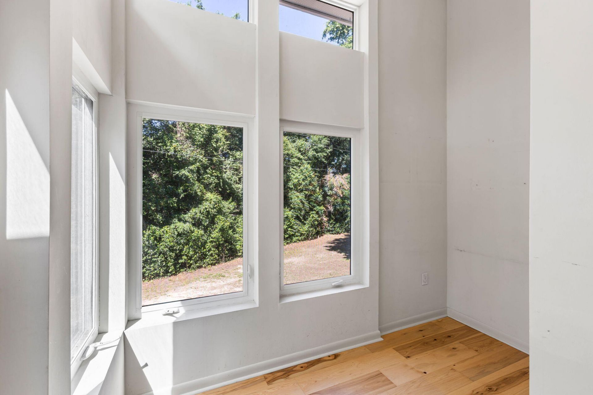 272 Alexandra Drive Photo 17