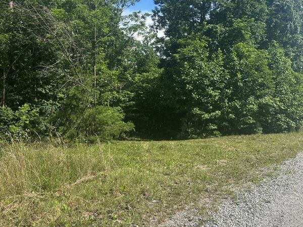 Lot 2 Buckeye Lane, Wilder, TN 38589