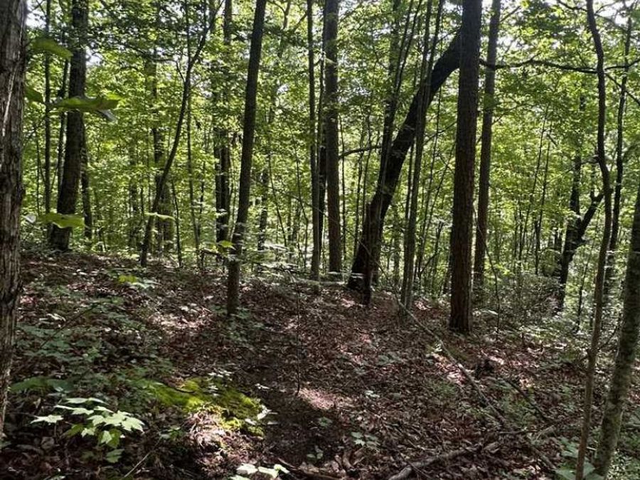 Property Image 18