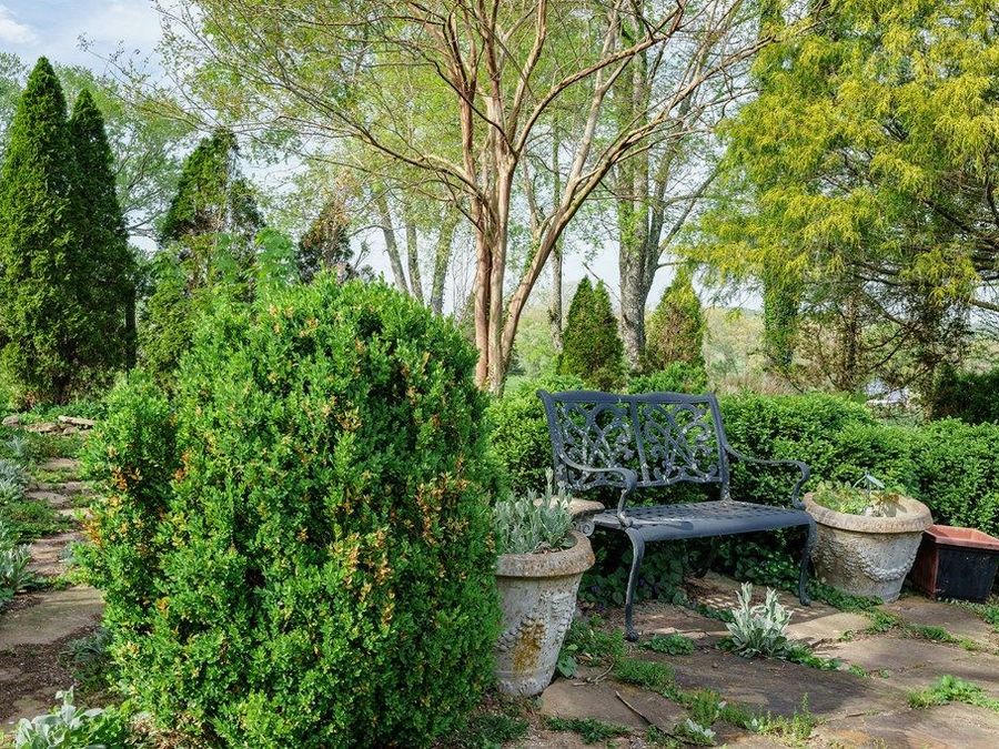 Property Image 38