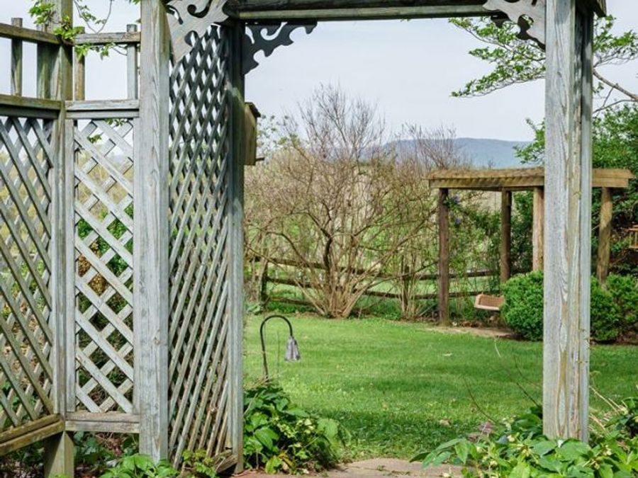 Property Image 41