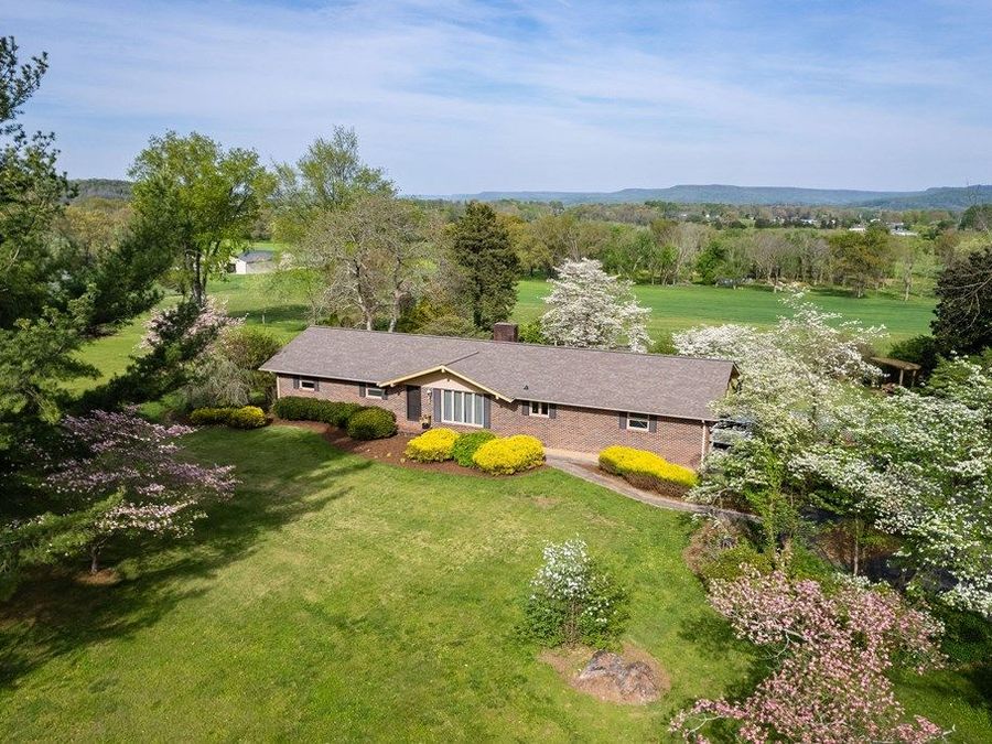 Property Image 43
