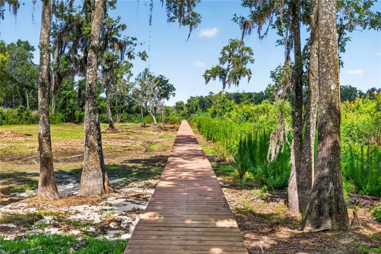17265 Meadow Bluff View, Dade City, FL 33523 Photo