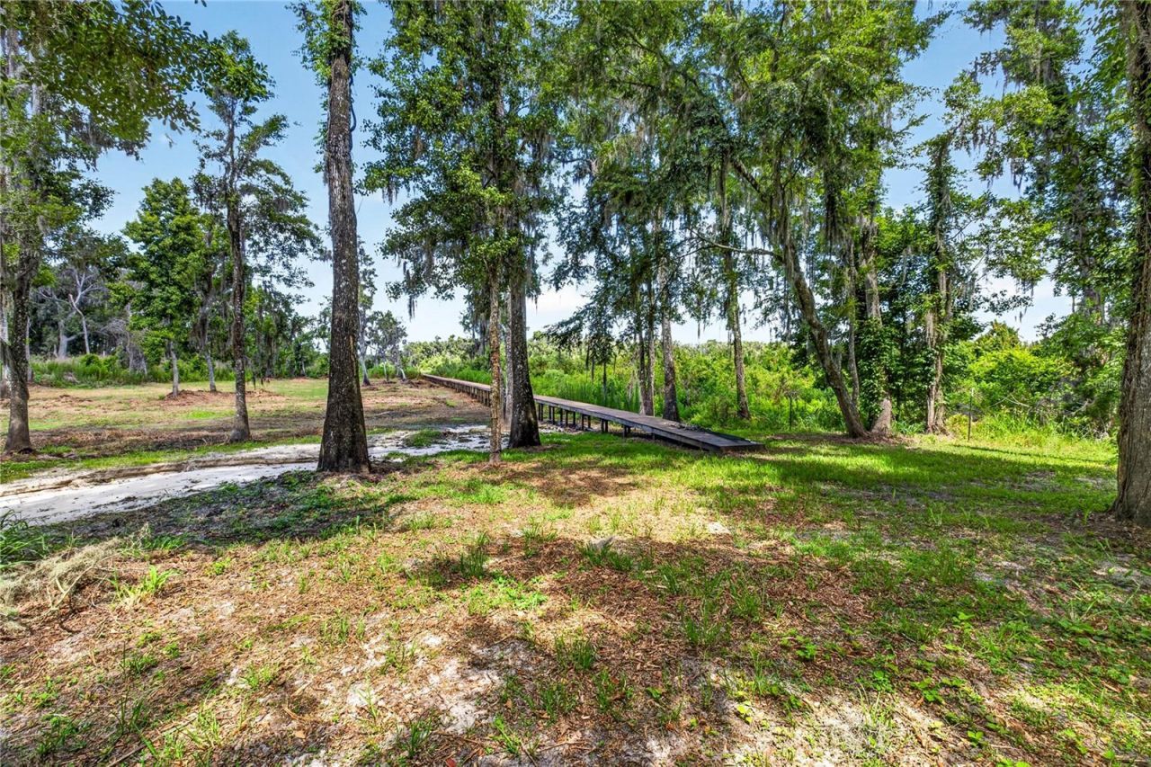 17265 Meadow Bluff View, Dade City, FL 33523 Photo