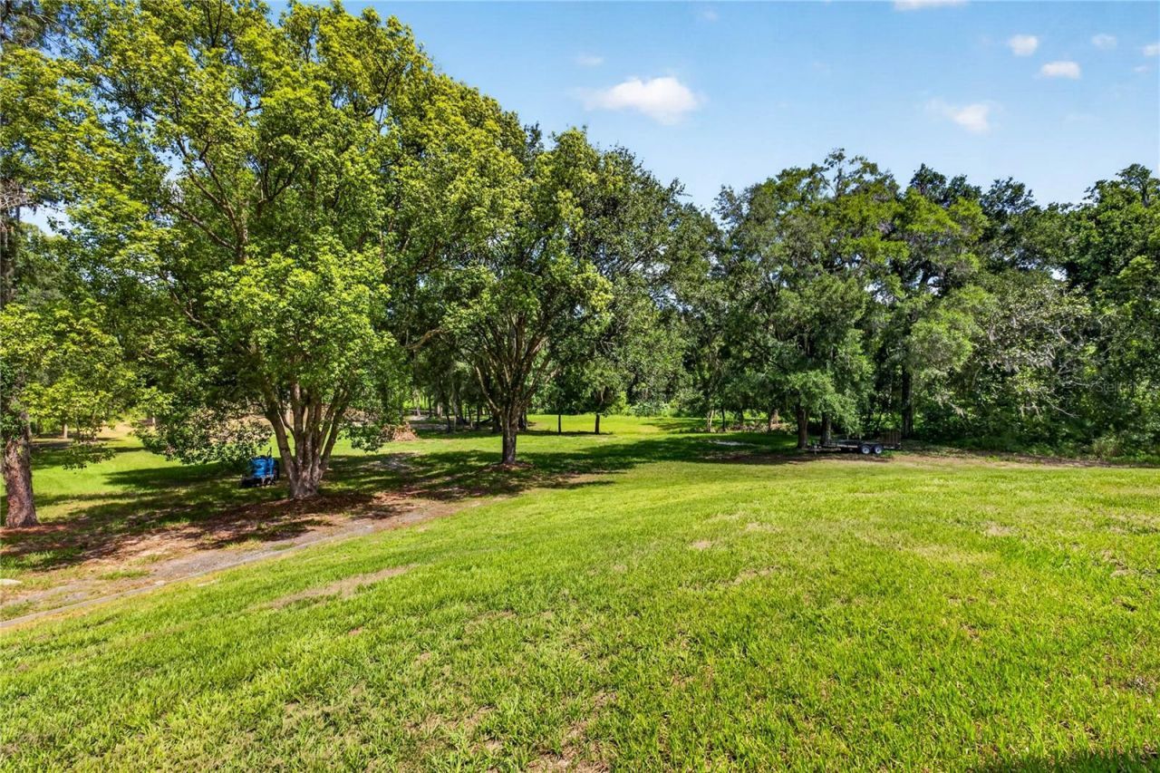 17265 Meadow Bluff View, Dade City, FL 33523 Photo