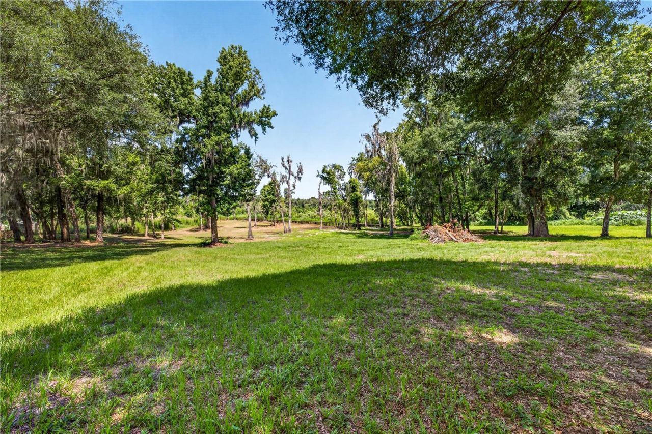 17265 Meadow Bluff View, Dade City, FL 33523 Photo