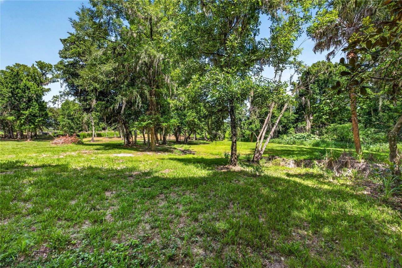 17265 Meadow Bluff View, Dade City, FL 33523 Photo