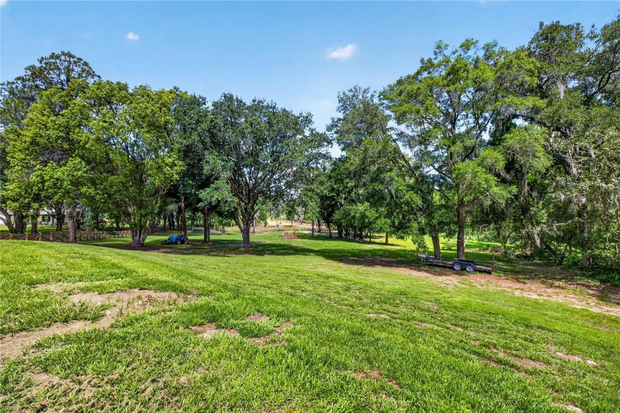 17265 Meadow Bluff View, Dade City, FL 33523 Photo