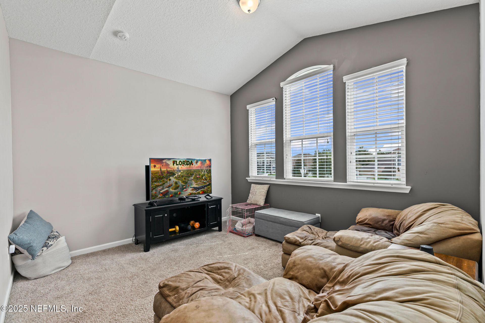 14604 Serenoa Drive, Jacksonville, FL 32258 Photo