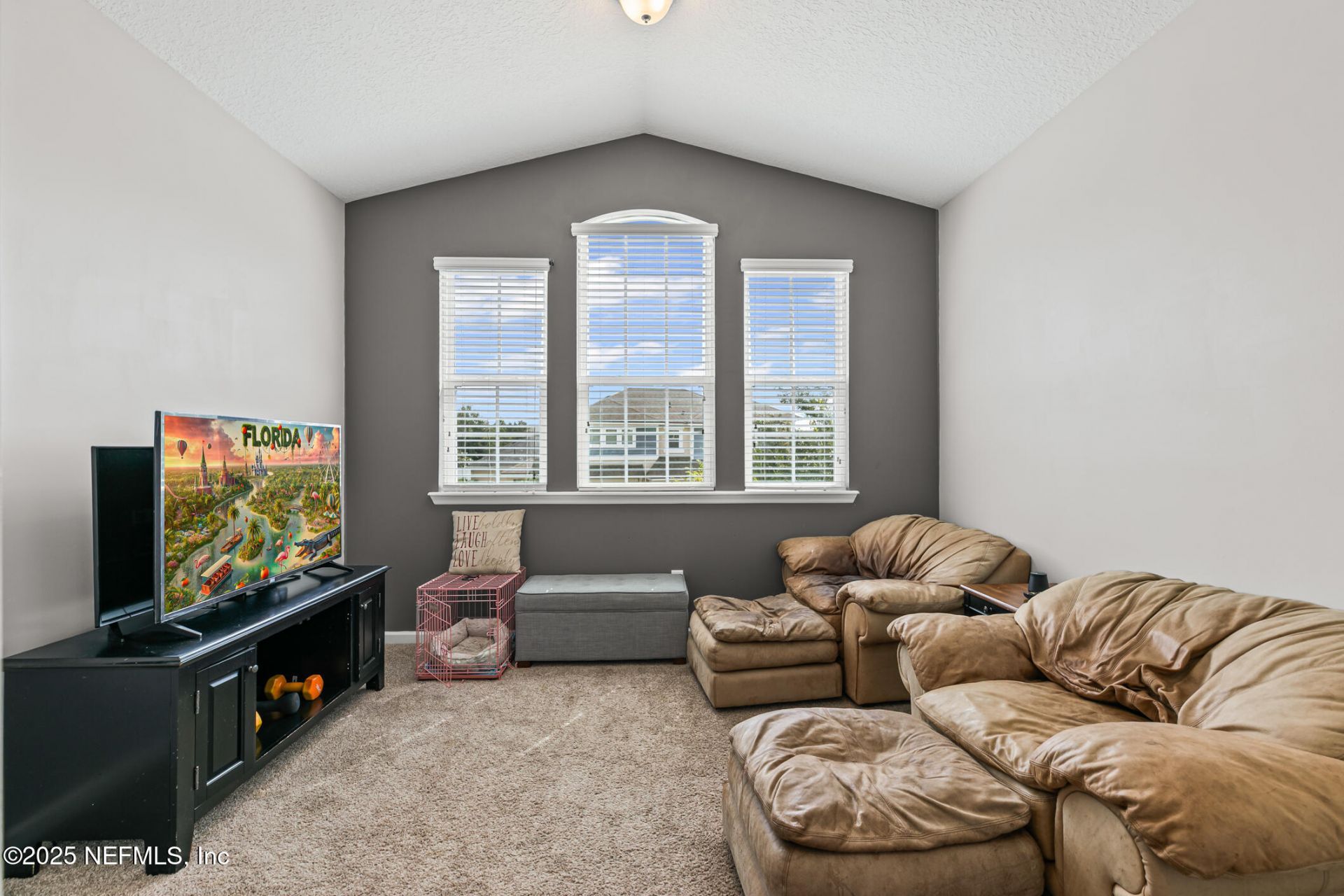 14604 Serenoa Drive, Jacksonville, FL 32258 Photo