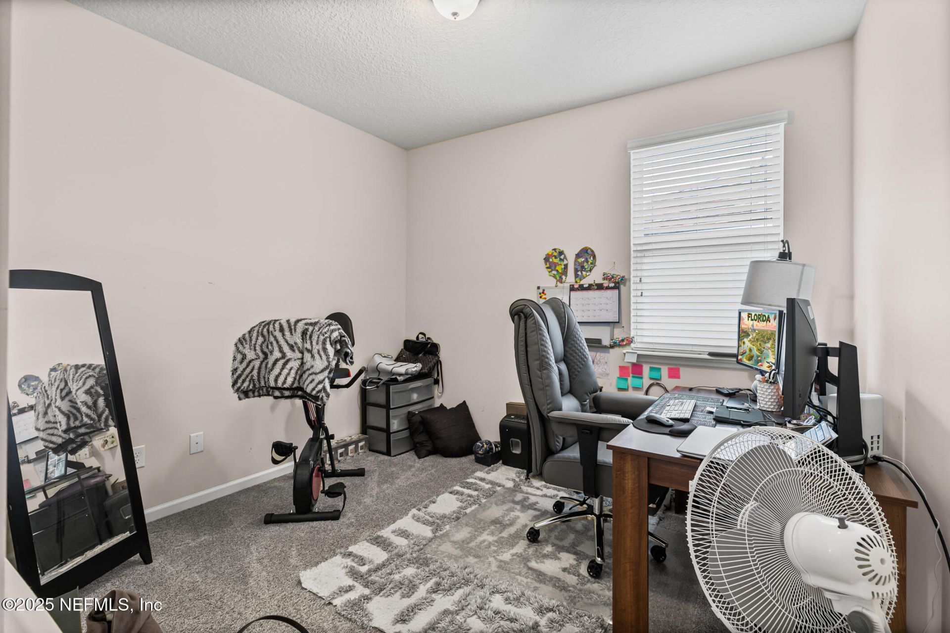 14604 Serenoa Drive, Jacksonville, FL 32258 Photo