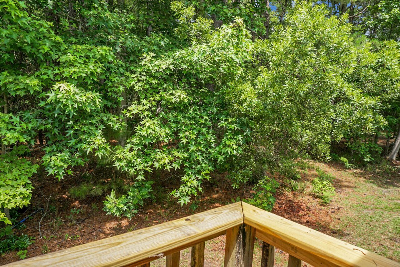 509 Pooshee Plantation Way Photo 26