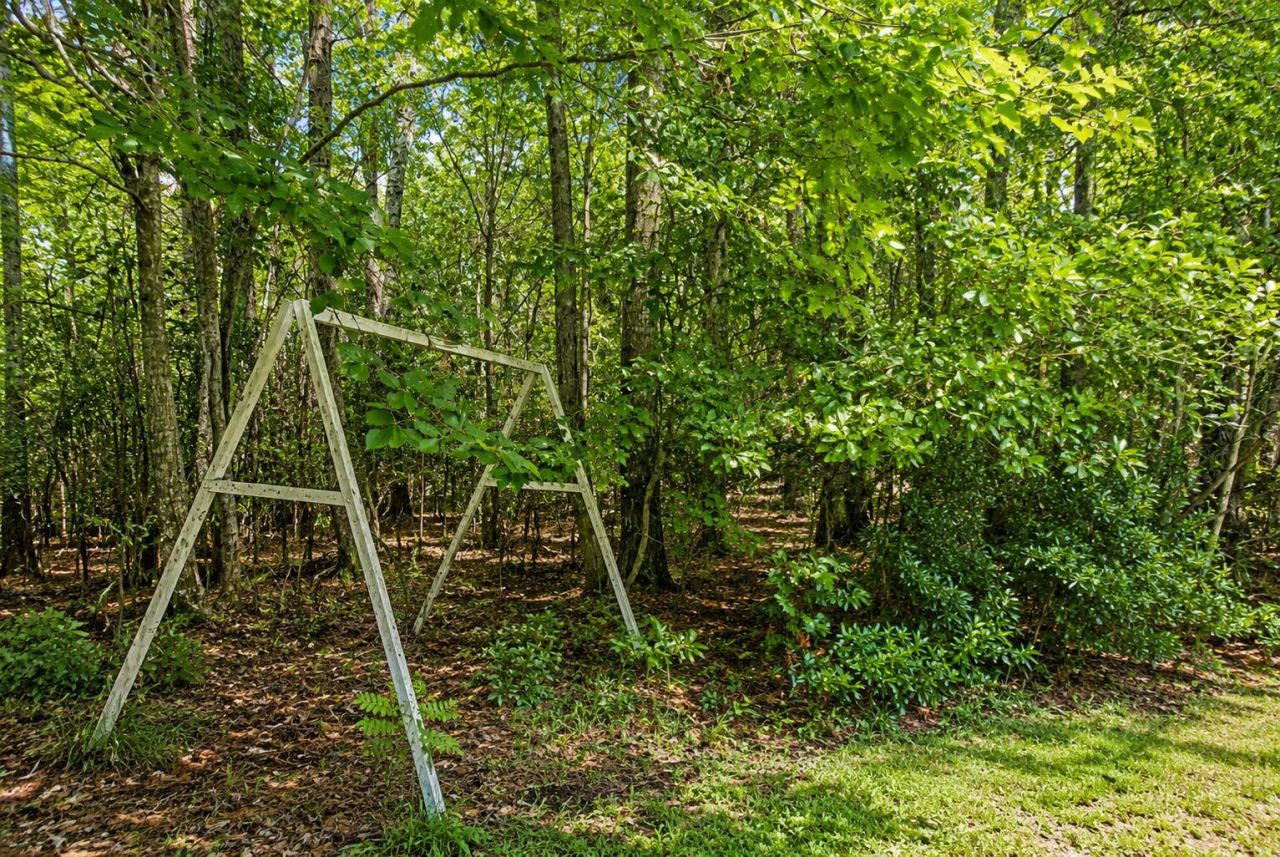 509 Pooshee Plantation Way Photo 28